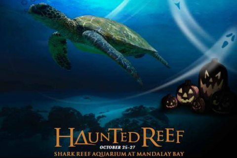 Haunted Reef at Mandalay Bay Las Vegas