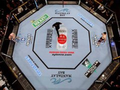 Las Vegas fight tour