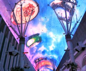 Lights Night Tour in Las Vegas