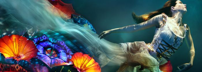 le reve show las vegas le reve show las vegas