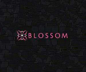 Blossom Las Vegas Chinese Restaurant