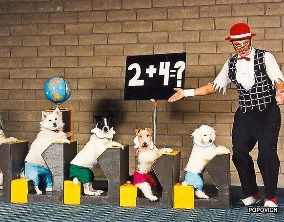 Gregory Popovich Comedy Pet Theater in Las Vegas