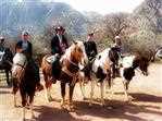 Horseback Trail Ride with Lunch in Las Vegas