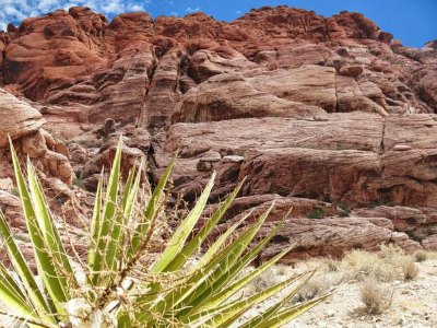 Red Rock Canyon Tour from Las Vegas