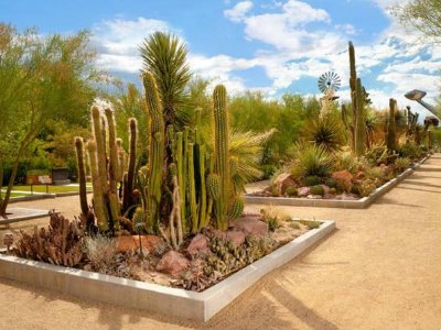 Springs Preserve Weddings