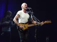 Sting