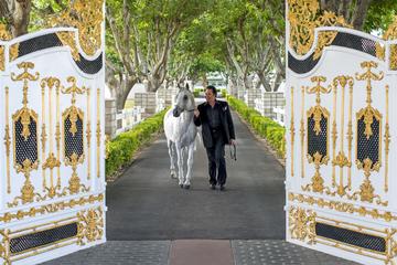 Wayne Newton's Casa de Shenandoah Tour in Las Vegas