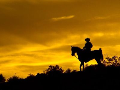 Wild West Sunset Horseback Ride with Dinner Las Vegas