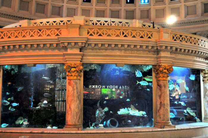 aquarium-forum-shops-las-vegas