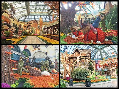 Conservatory & Botanical Gardens at Bellagio Hotel in Las Vegas