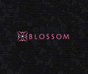 Blossom  Las Vegas Chinese Restaurant