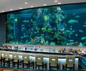 chart-house-seafood-and-steak-las-vegas-restaurant