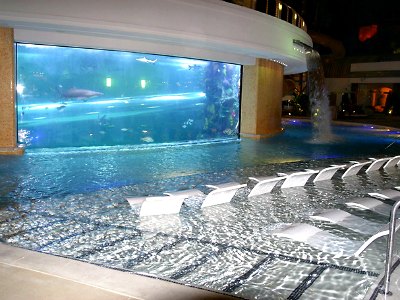 golden-nugget-tank-pool