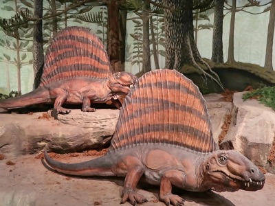 las-vegas-natural-history-museum
