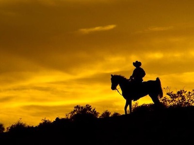Las Vegas to Red Rock Canyon Sunset Horseback tour