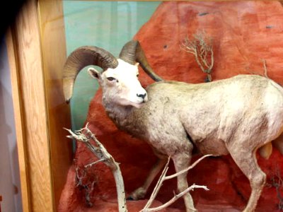 Lost City Museum in Overton Nevada