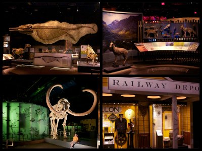 Nevada State Museum Las Vegas