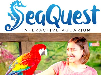 Sea Quest Interactive Aquarium in Las vegas with Kids