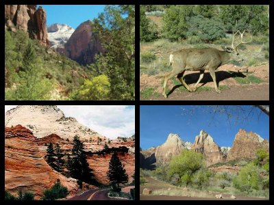 zion-national-park-tour-from-las-vegas